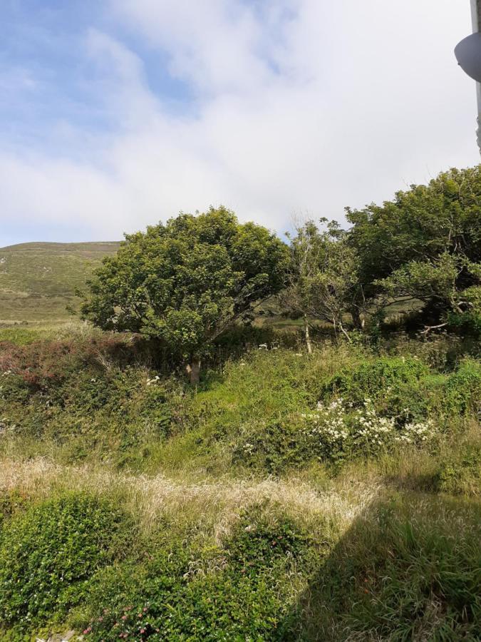 Gleann Loic Farmhouse Βίλα Ντίνγκλε Εξωτερικό φωτογραφία