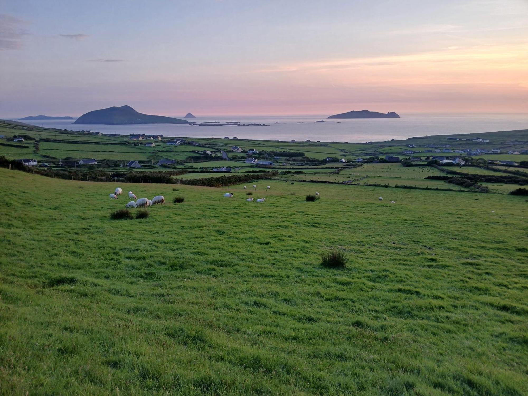 Gleann Loic Farmhouse Βίλα Ντίνγκλε Εξωτερικό φωτογραφία